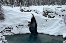 Calgary to Louise, Moraine, Emerald Lake and Johnston Canyon Tour