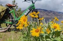 Kelowna E-Bike Guided City Highlights Tour