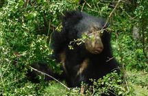 YALA SAFARI TOUR with Galle/Mirissa/Tangalle/Ella Transfers