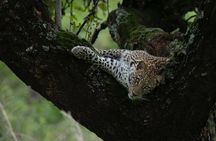 2 Days 1 Night Akagera Wildlife Safari and Kigali City Tour