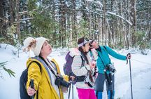 Snowshoe to Spectacular Winter Ice Caves in Hokkaido