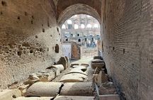 Rome Colosseum and Ancient Rome Guided Tour