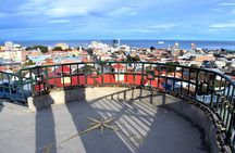 Punta Arenas City Tour Shore Excursion