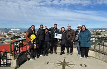 Punta Arenas City Tour Shore Excursion