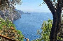 Authentic Cooking with Locals: Meal, Wine & Scenic Views 
