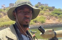 Bird Observation in Cape Verde 