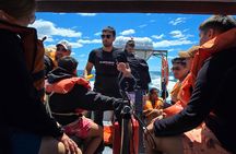 Nautical Adventure in Search of Dolphins