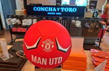 Santiago City Tour + Ancestral Lunch & Concha y Toro Winery