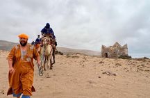 Camel Tour : 2 hours camel ride in Agadir