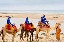 Camel Tour : 2 hours camel ride in Agadir
