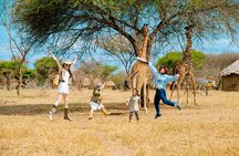 The Great 5-Days Safari Journey