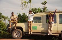 The Great 5-Days Safari Journey