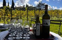 Small Group Minardi Winery Tour