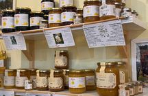 Civitavecchia Market Tour with Private Cooking Class