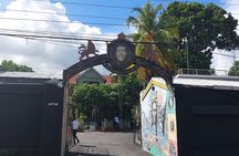 Kingston Reggae Tour: Marley Museum, Trench Town & Devon House