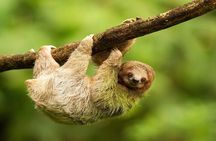 Roatan Explore and Relax Tour