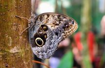 Roatan Explore and Relax Tour