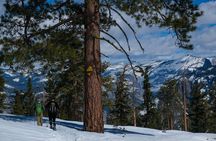 Private Snowshoeing Adventure from Badger Pass to Dewey Point