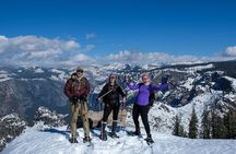 Private Snowshoeing Adventure from Badger Pass to Dewey Point