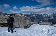 Private Snowshoeing Adventure from Badger Pass to Dewey Point