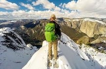 Private Snowshoeing Adventure from Badger Pass to Dewey Point