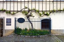 Maribor and Styria Tour with Wine Tasting