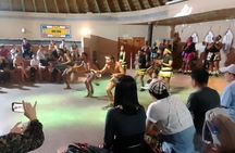 Cradle of Humankind, Lesedi Cultural Village & Lion's Park