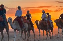 Marrakech: Agafay Desert Sunset, Camel Ride, and Dinner Show.