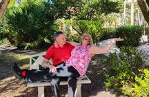 Romantic Miami Tour with Picnic, Drinks, Dinner and Dancing