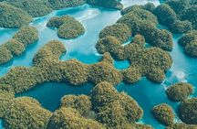 Siargao Private Sohoton Bucas Grande Tour with Lunch