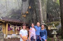 Private Hiking Tour to View Mt. Fuji