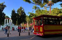 Epic Condesa and Roma Norte Walking Tour