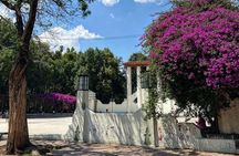 Epic Condesa and Roma Norte Walking Tour