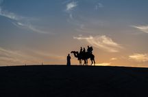 Qatar Half Day Desert Safari(Camel Rides & Sandboarding)
