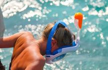 Wasini Dolphin Spotting Tour