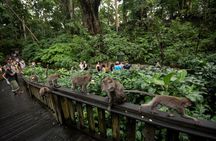 Private Tour of Bali’s Ubud: Culture, Nature & Heritage