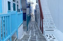Mykonos Private Half-Day Tour