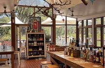 Adelaide’s Must do tours for Cruise Passengers – Arrive on Time