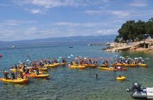Kayak tour with snorkeling and marine biologist