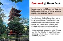Private tour in Tokyo (Ueno, downtown...) with a Local Guide