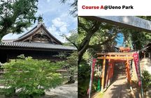Private tour in Tokyo (Ueno, downtown...) with a Local Guide