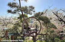 Private tour in Tokyo (Ueno, downtown...) with a Local Guide