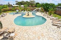 Discover Our Best 2-Day Tanzania Budget Group Lodge Safari Tour