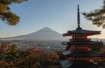 Mt.Fuji Private Day Trip from Tokyo with Driver & Top Photo Spots