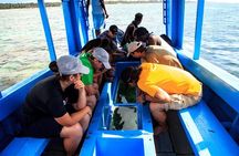 Glass Bottom Boat Tour