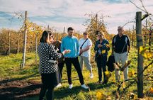 From Venice: Prosecco Wine Region Tour with 2 Tastings