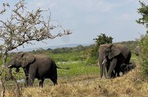 2 Days 1 Night Akagera Wildlife Safari and Kigali City Tour