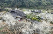 Multi Day Hidden Village in Sapa Town Tour