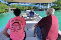 Roatan Unique East End Mangrove Tunnel Tour 