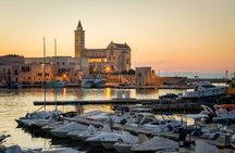 Castel del Monte and Trani small-group guided tours from Bari